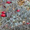 11 b Rund um Ellwangen